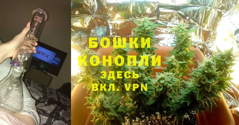 Шишки марихуана OG Kush  Ворсма 